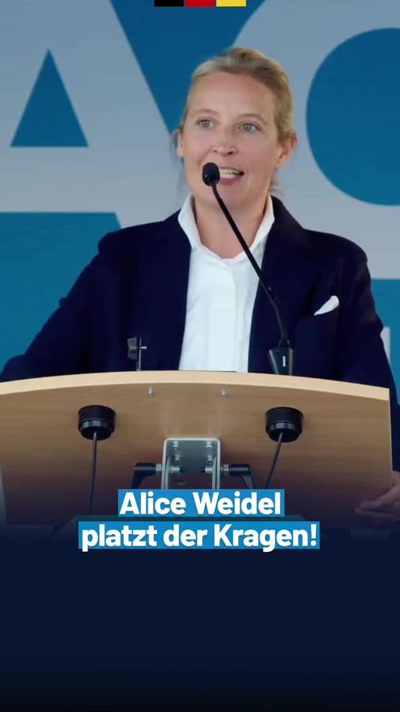 Alice Weidel platzt der Kragen! #solingen #afd #foryou 