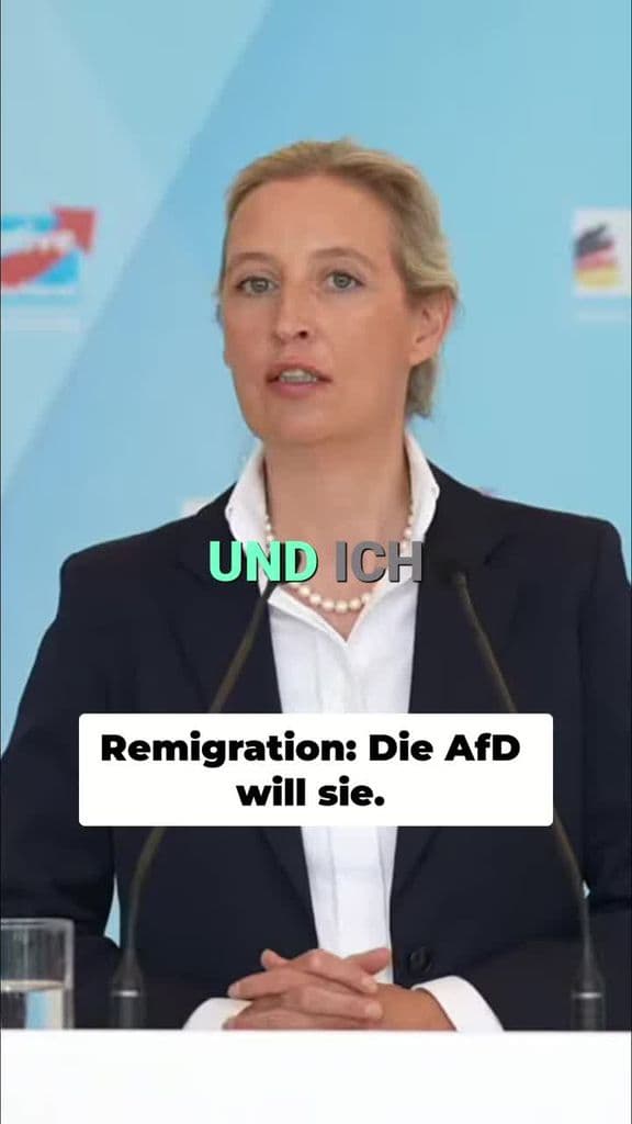 Diskussion über strengere Maßnahmen in der Migrationspolitik in Deutschland! #politik #deutschland #nachrichten #migration #afd 